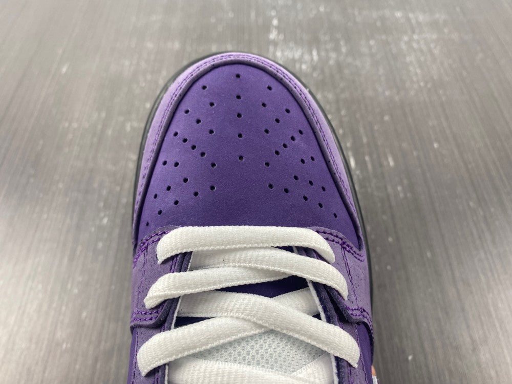 Nike SB Dunk Low Concepts Purple Lobster (Special Box)