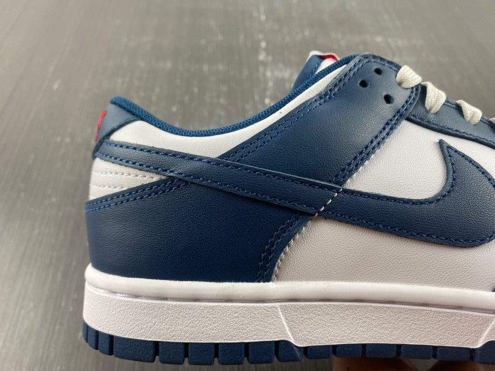Nike Dunk Low Valerian Blue