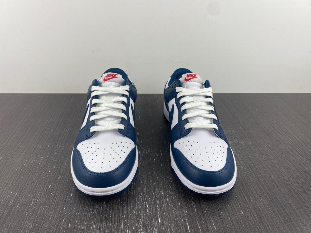 Nike Dunk Low Valerian Blue