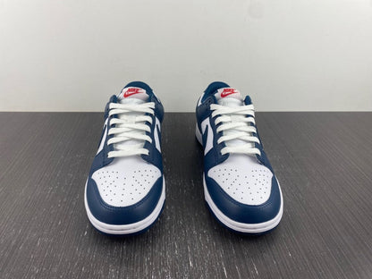 Nike Dunk Low Valerian Blue